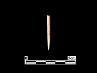 骨針藏品圖，第1張