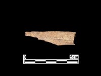 骨器藏品圖，第2張