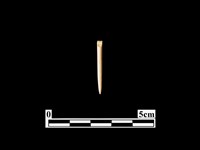 骨針藏品圖，第1張