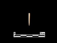 骨針藏品圖，第1張