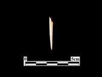 骨針藏品圖，第1張