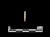 骨針藏品圖，第1張