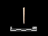 骨針藏品圖，第1張