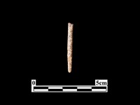 骨針藏品圖，第2張