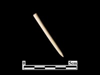 骨針藏品圖，第1張