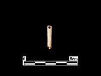 骨針藏品圖，第1張