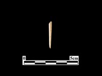 骨針藏品圖，第1張