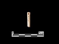 骨針藏品圖，第1張