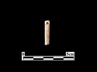 骨針藏品圖，第2張