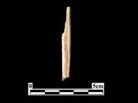 骨器藏品圖，第1張