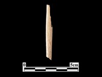 骨器藏品圖，第2張