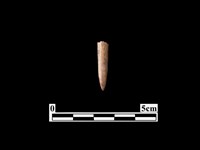 骨針藏品圖，第2張