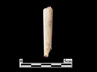 骨器藏品圖，第2張