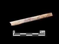 骨器藏品圖，第2張