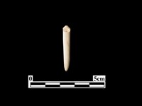 骨針藏品圖，第2張