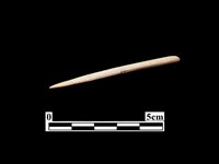 骨針藏品圖，第2張