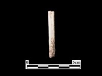 骨器藏品圖，第1張