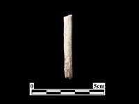 骨器藏品圖，第2張