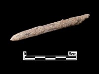 骨器藏品圖，第2張