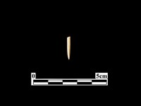 骨針藏品圖，第1張