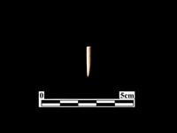 骨針藏品圖，第1張