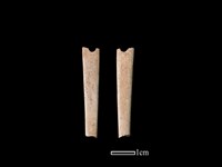 骨簪藏品圖，第1張