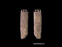 骨簪藏品圖，第1張