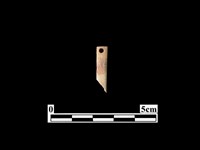 骨針藏品圖，第1張