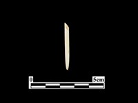 骨針藏品圖，第1張