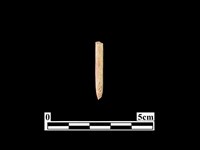 骨針藏品圖，第2張