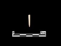 骨針藏品圖，第1張