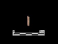 骨針藏品圖，第1張