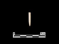 骨針藏品圖，第1張