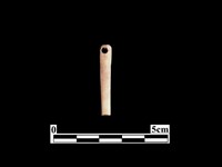 骨針藏品圖，第1張