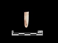 骨器藏品圖，第2張