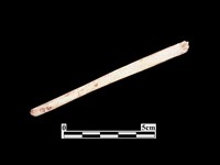 骨器藏品圖，第2張