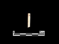 骨針藏品圖，第1張