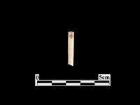 骨針藏品圖，第2張