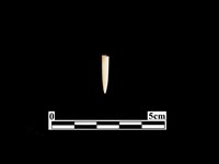 骨針藏品圖，第1張