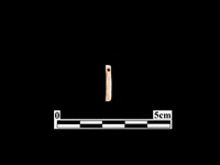 骨針藏品圖，第1張