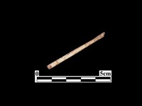 骨器藏品圖，第2張