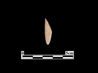 骨器藏品圖，第2張