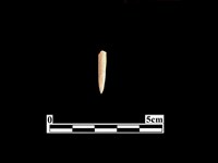 骨針藏品圖，第1張