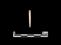 骨針藏品圖，第1張