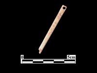 骨針藏品圖，第2張