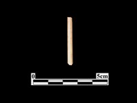 骨針藏品圖，第1張