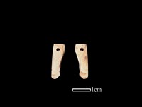 骨飾藏品圖，第1張