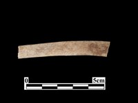 骨器藏品圖，第1張