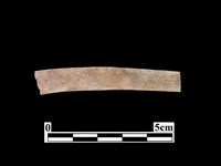 骨器藏品圖，第2張