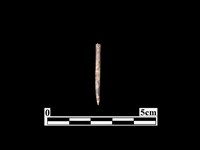 骨針藏品圖，第1張